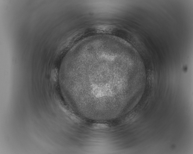 X0000111160649200907211228