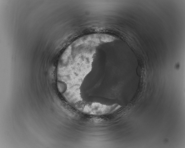 X0000111160650200907211228