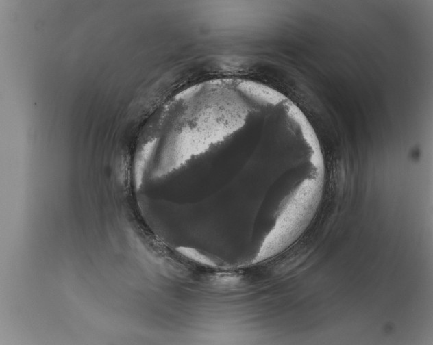 X0000111160651200907211228