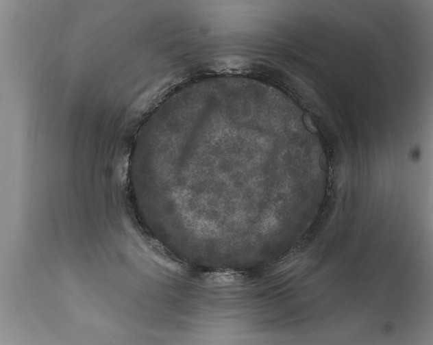 X0000111160652200907211228