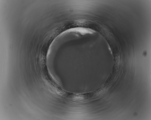 X0000111160653200907211228