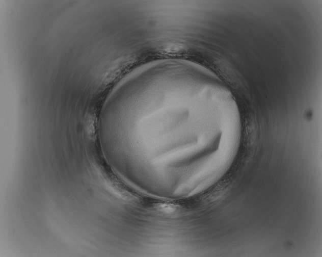 X0000111160654200907211228