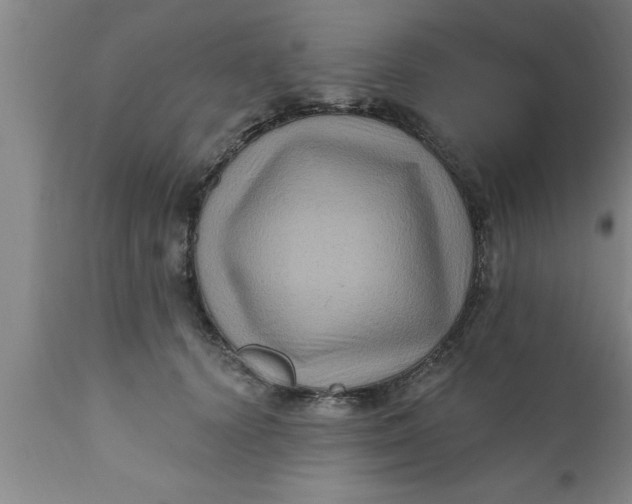 X0000111160656200907211228