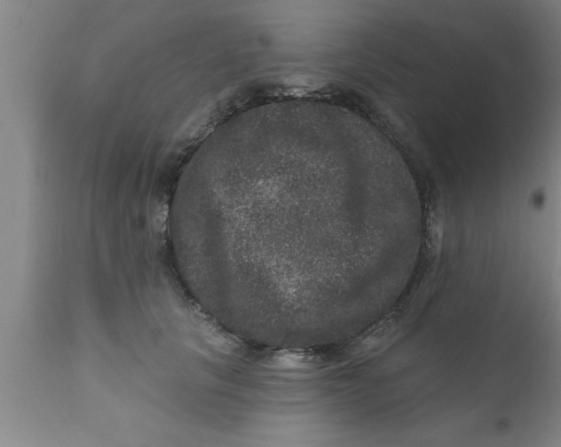 X0000111160657200907211228