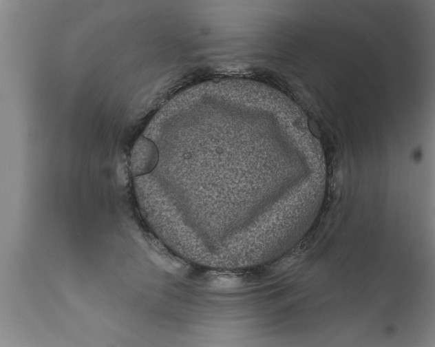 X0000111160658200907211228