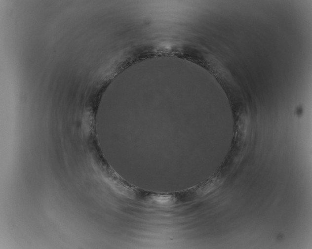 X0000111160659200907211228