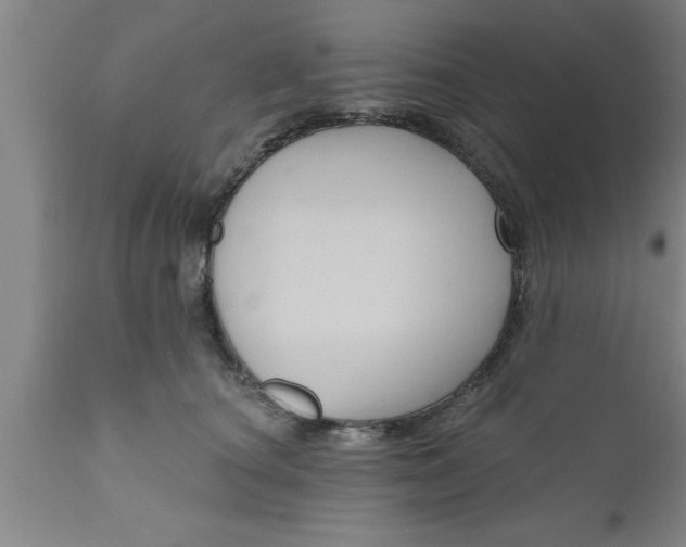 X0000111160660200907211228