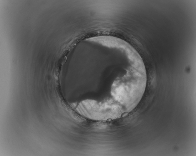 X0000111160661200907211228