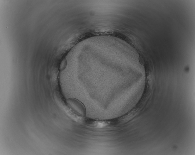 X0000111160662200907211228