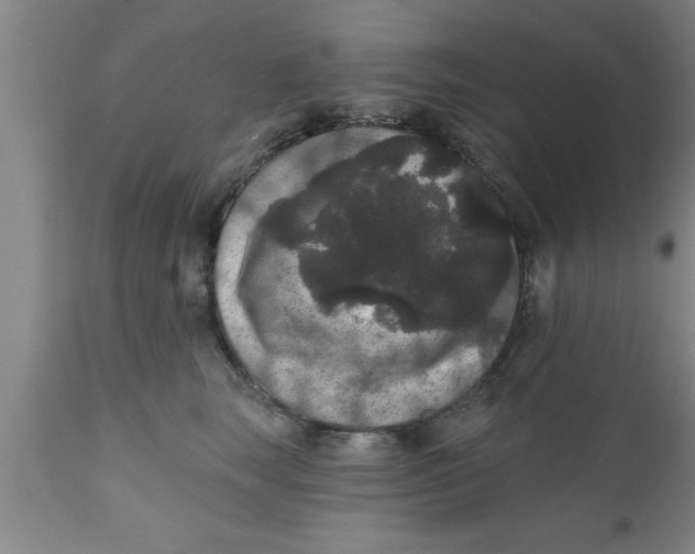 X0000111160663200907211228