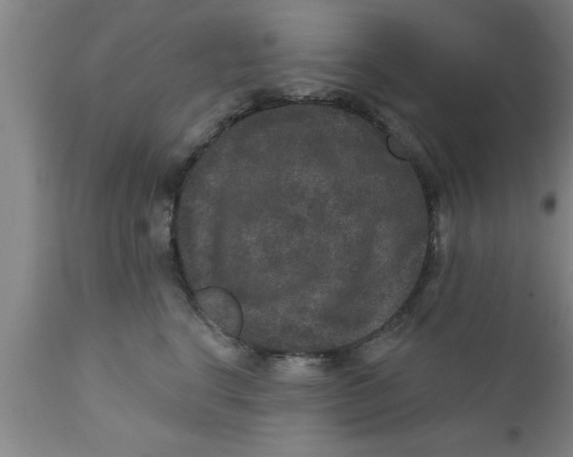 X0000111160664200907211228