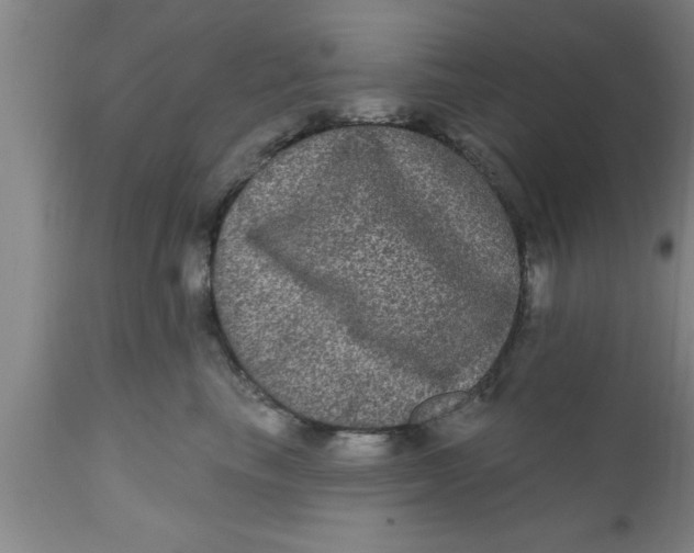 X0000111160665200907211228