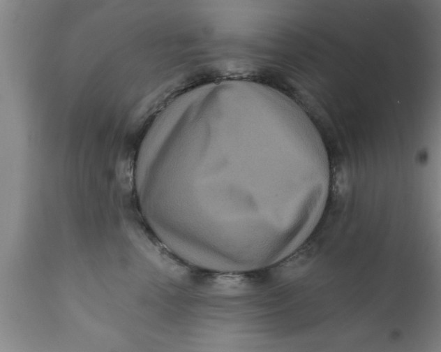 X0000111160666200907211228