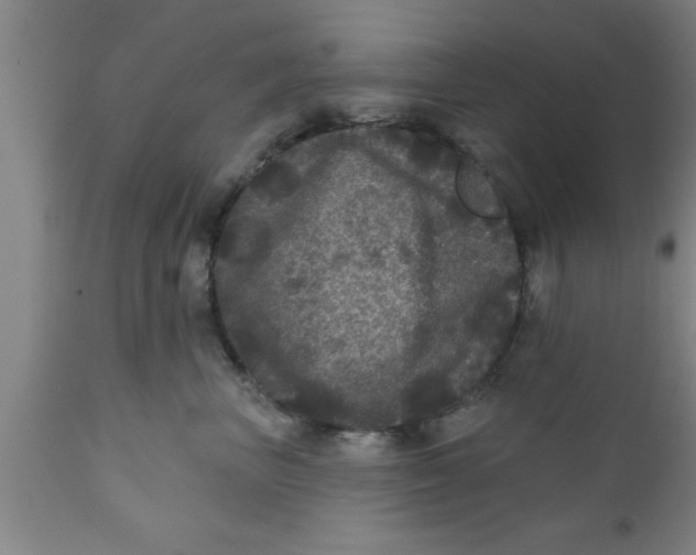 X0000111160667200907211228