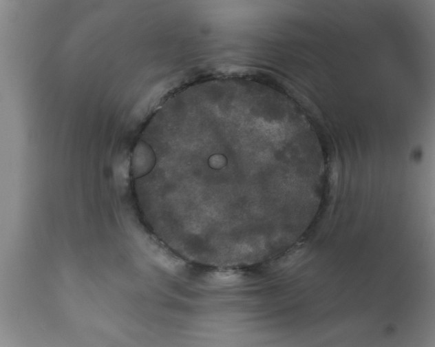 X0000111160668200907211228