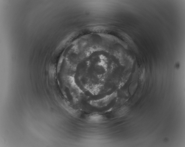 X0000111160669200907211228