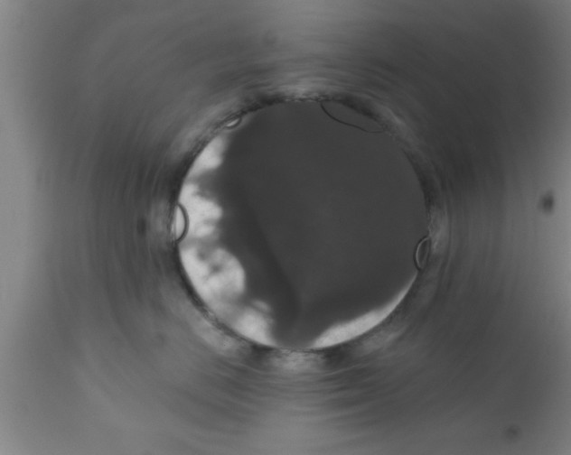 X0000111160670200907211228