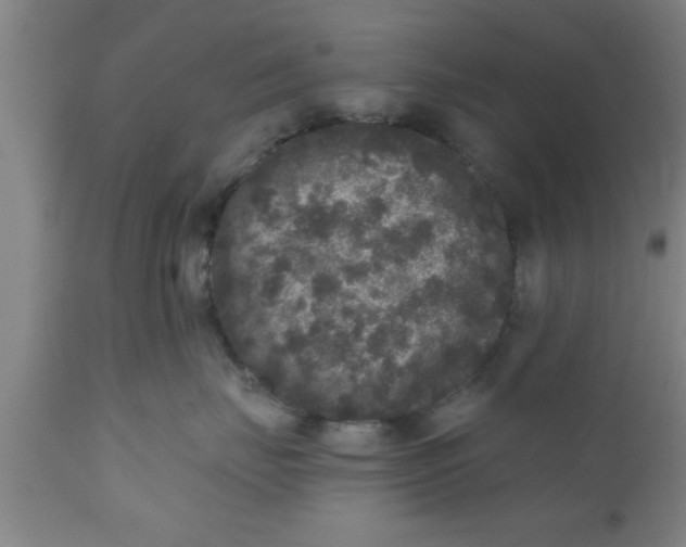 X0000111160671200907211228