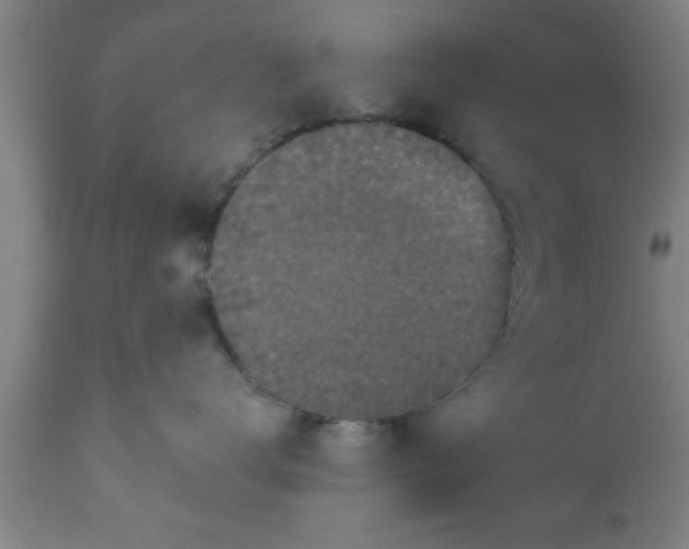 X0000111160672200907211228