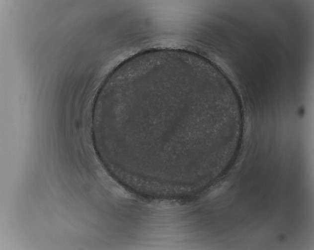 X0000111160673200907211227