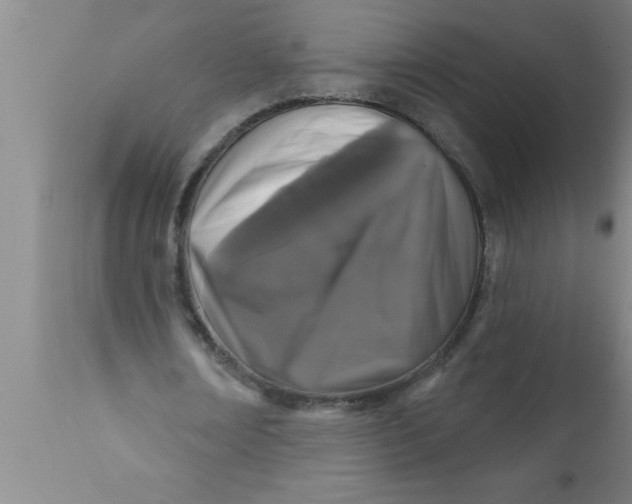 X0000111160674200907211227