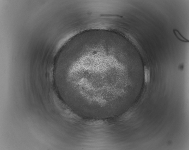 X0000111160675200907211227