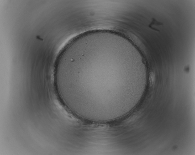 X0000111160676200907211227