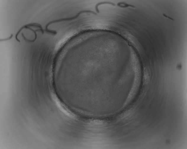 X0000111160677200907211227