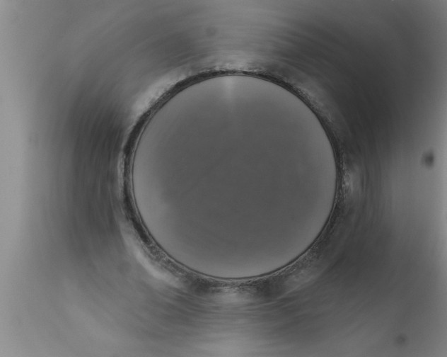 X0000111160678200907211227