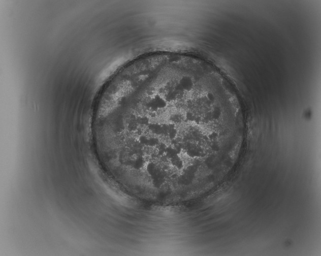 X0000111160679200907211227