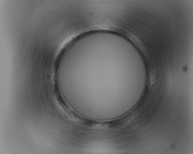 X0000111160680200907211227