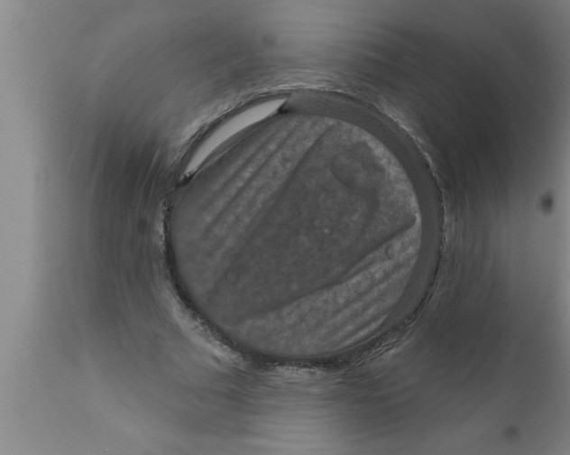 X0000111160681200907211227