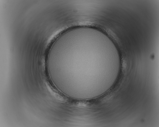 X0000111160684200907211227