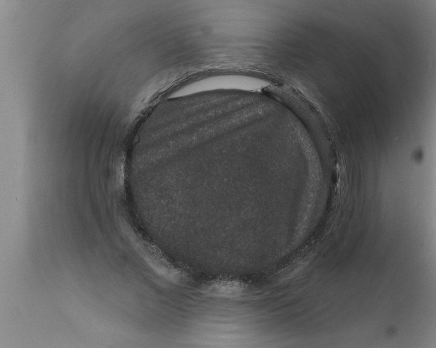 X0000111160685200907211227