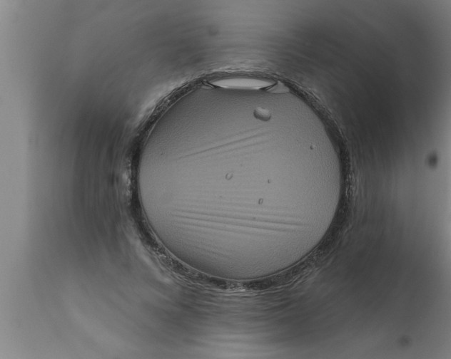 X0000111160688200907211227