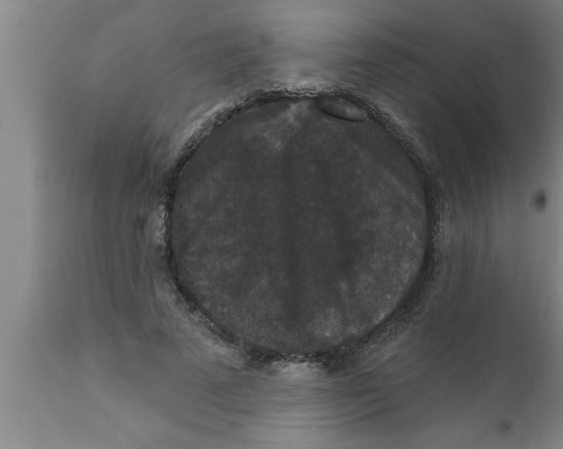 X0000111160689200907211227