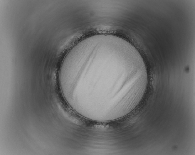 X0000111160690200907211227