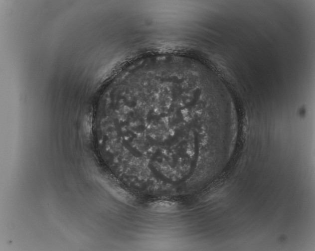 X0000111160691200907211227