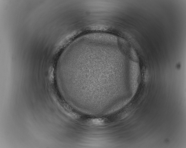 X0000111160692200907211227