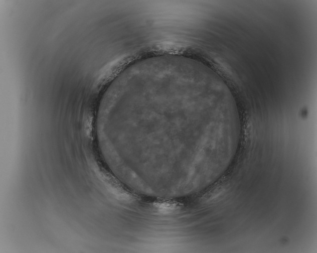 X0000111160693200907211227