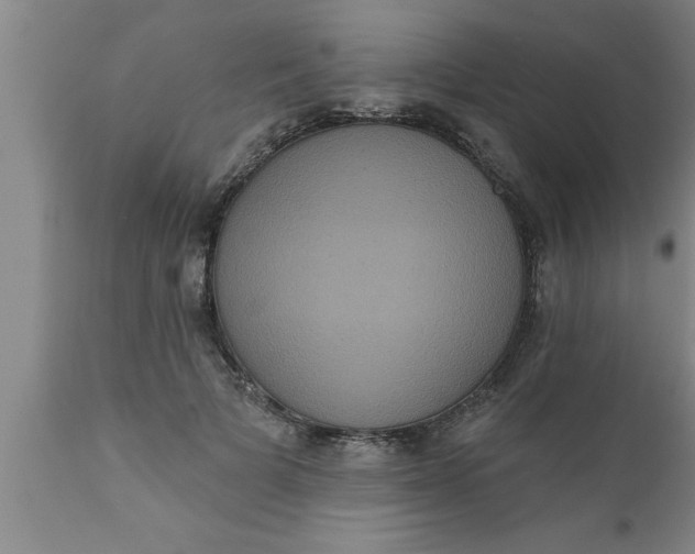 X0000111160697200907211227