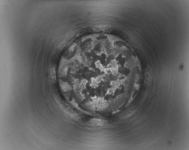 X0000111160699200907211227