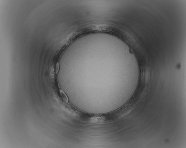 X0000111160700200907211227