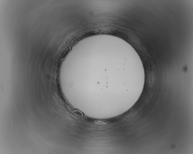 X0000111160701200907211227