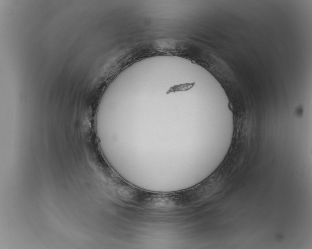 X0000111160702200907211227