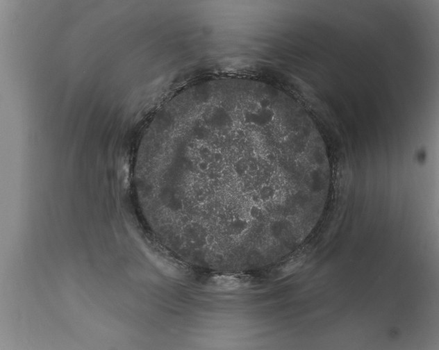 X0000111160703200907211227