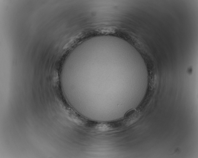 X0000111160704200907211227