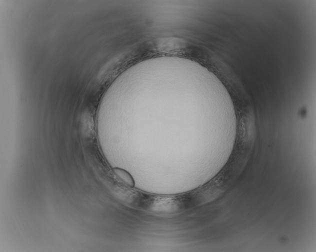 X0000111160705200907211227