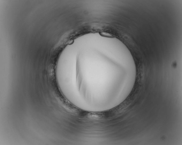 X0000111160706200907211227