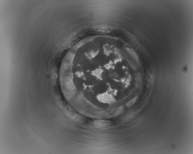 X0000111160707200907211227